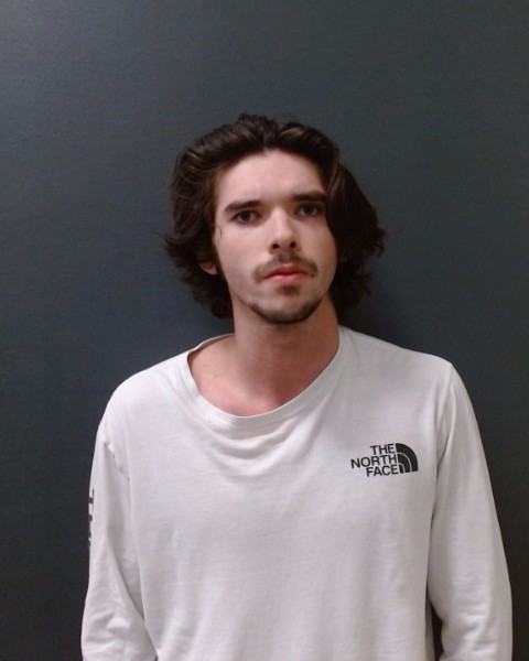 COLLINS, CAMERON AVERY booking photo