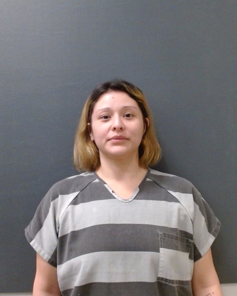 RUIZ, AMANDA LYNN booking photo