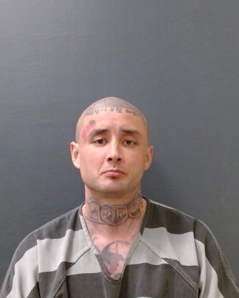 ALLISON, CODY YOUNG booking photo