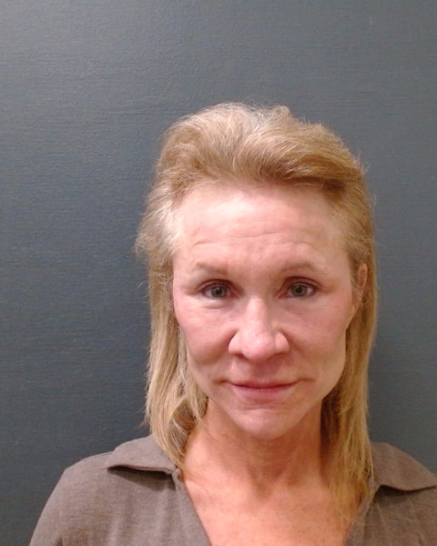 HARRISON, JONI DIANN booking photo