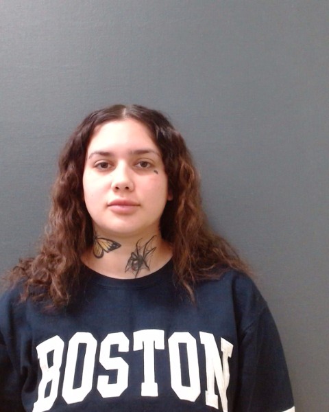 PEREZ, SARA NICOLE booking photo