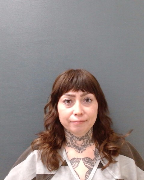 ALMANZA, LUCIA DOMINGA booking photo