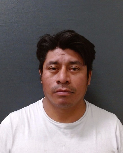 LOPEZ GOMEZ, DAVID VIRGILIO booking photo
