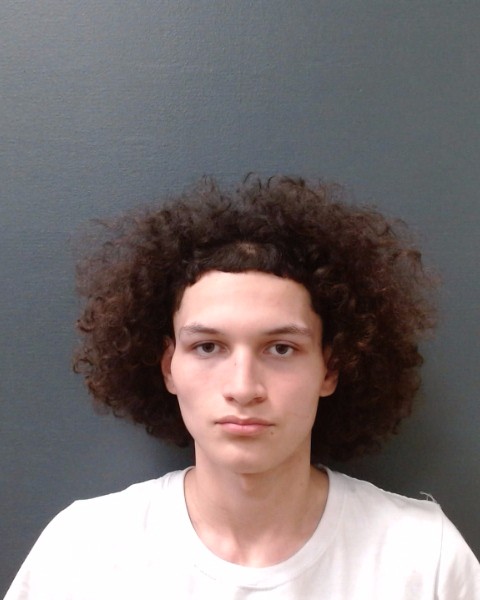 PEREZ, PHILLIP JOE booking photo