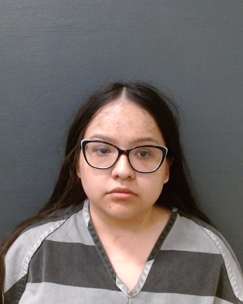 HERNANDEZ, GETHSEMANY booking photo