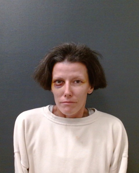 TATE, BRANDI ELIZABETH booking photo