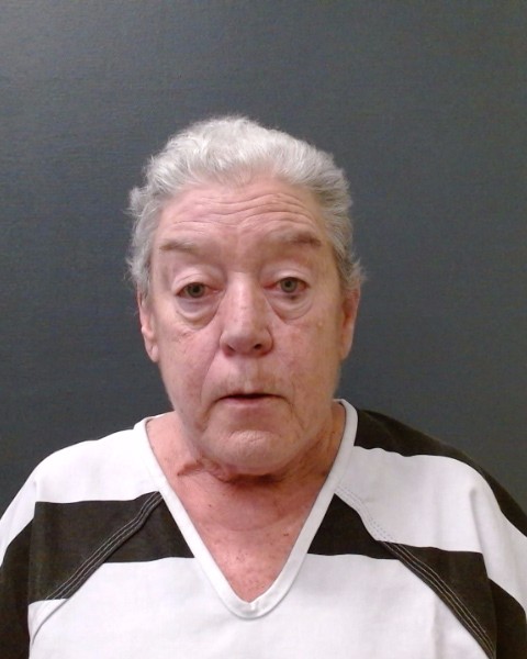 BLESSING, DIANE MARIE booking photo