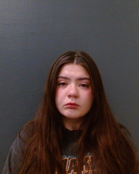 HEDLEY, EDEN MARIE booking photo