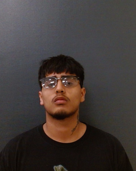 DE PAZ, HENRICK TEGAN booking photo