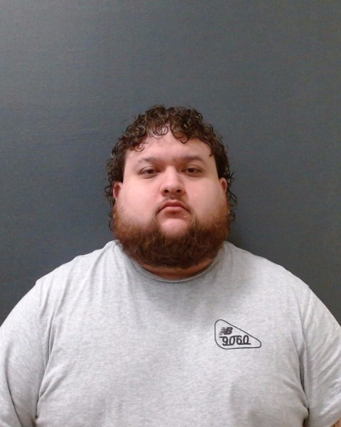 RAMIREZ, BRANDON LJ booking photo