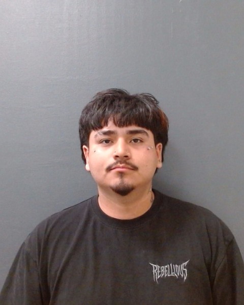 REYES, JORGE FELIPE booking photo