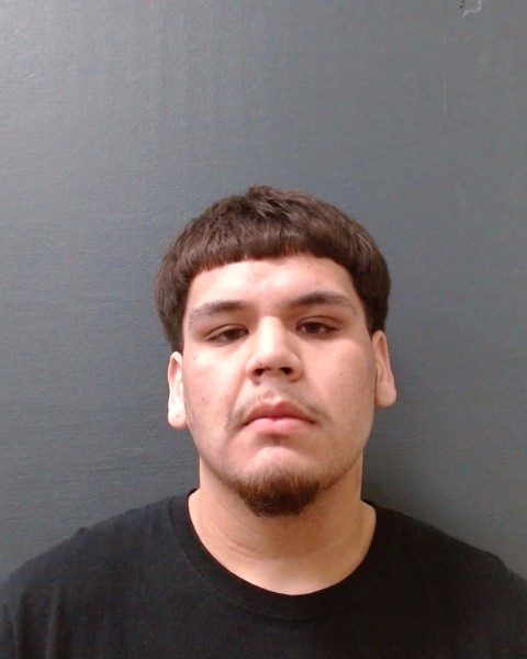 DELEON, JOE RYAN booking photo