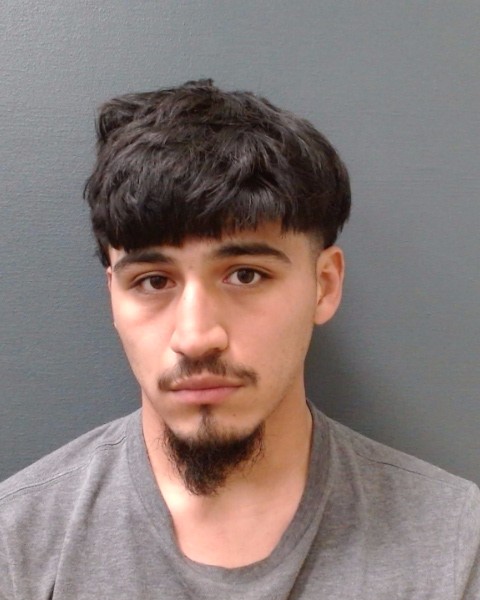 FELAN, ROMAN GABRIEL booking photo