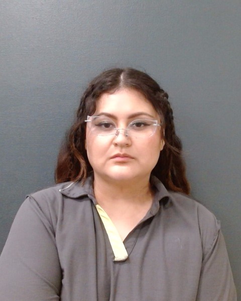 HERNANDEZ, DALIA booking photo