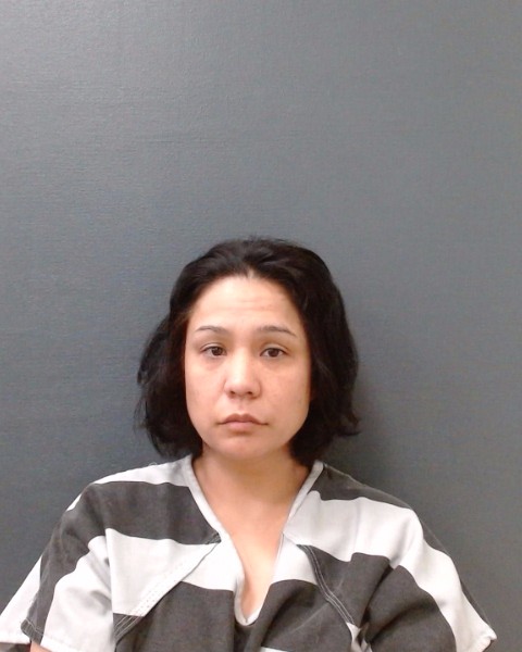PEDRAZA, ASHLEY NICOLE booking photo
