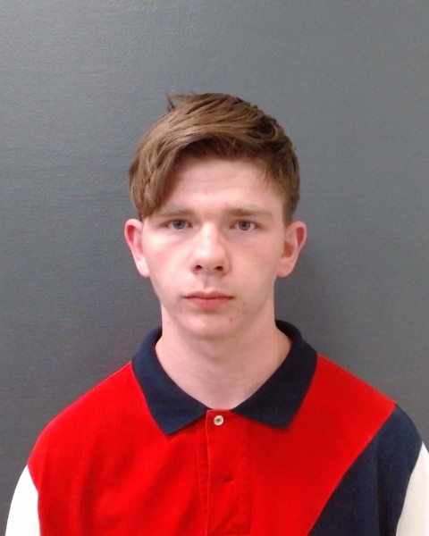 GRISSOM, LAYNE AUSTIN booking photo