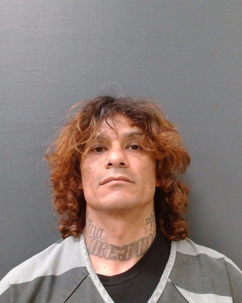 YANAS, STEVEN booking photo