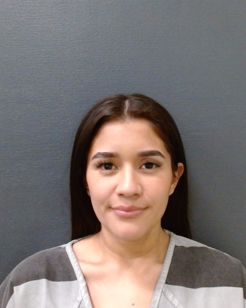 GONZALEZ, ISAMAR ABIGAIL booking photo