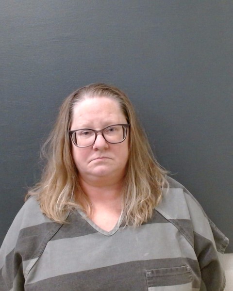 REEDY, MELINDA MCCAIN booking photo