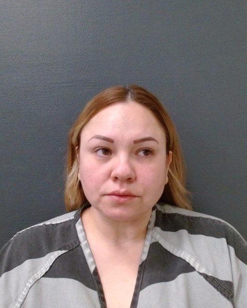 ALVARADO, AMANDA MARIE booking photo
