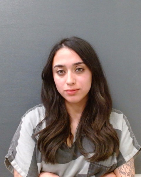 VEGA, AVA LYNN booking photo