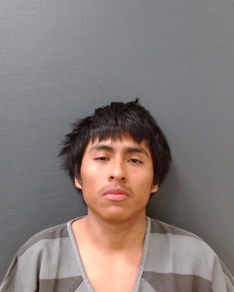 TREJO-TREJO, MARTIN booking photo