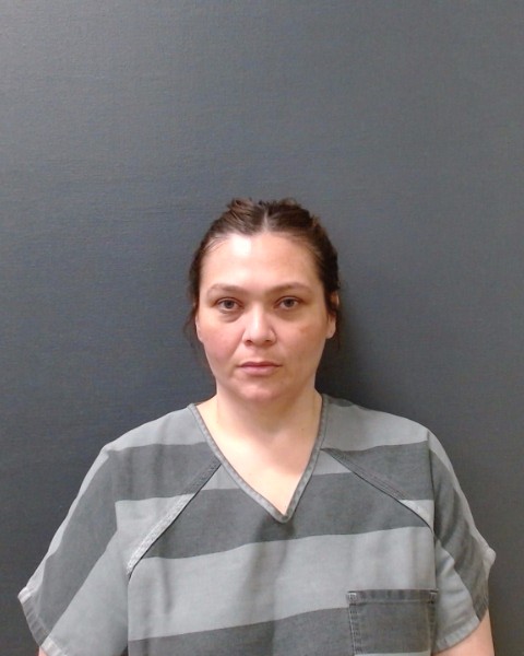 SANCHEZ DE CEJA, ALEJANDRA V booking photo