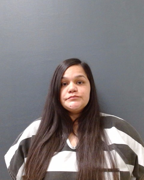 VASQUEZ, DELICIA ELENA booking photo