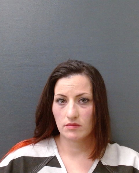 WHEELER, JAMIE LYNN booking photo