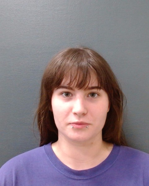SHELTON, KAYLEE LYNN booking photo