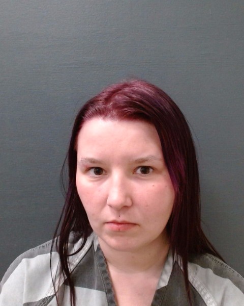 CRAIG, LAUREN ELIZABETH booking photo