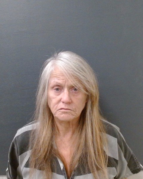 SAURAGE, SUSAN BREWER booking photo