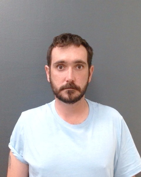 DELIUS, FREDERICK HOWARD booking photo