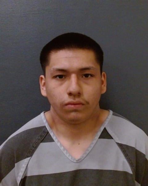 WOLFF, SEBASTIAN GUY booking photo