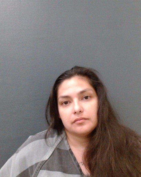 VILLANUEVA, JULISA ANN booking photo