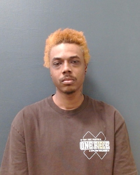 GARNETT, MYOLS D'MARIA booking photo