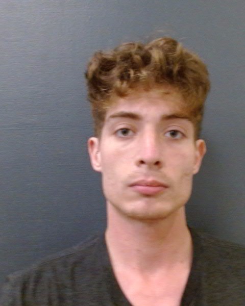 WALLACE, WILLIAM FRANKLIN booking photo