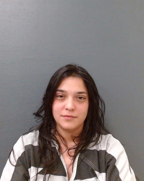 ORTIZ, CRYSTAL STORM booking photo