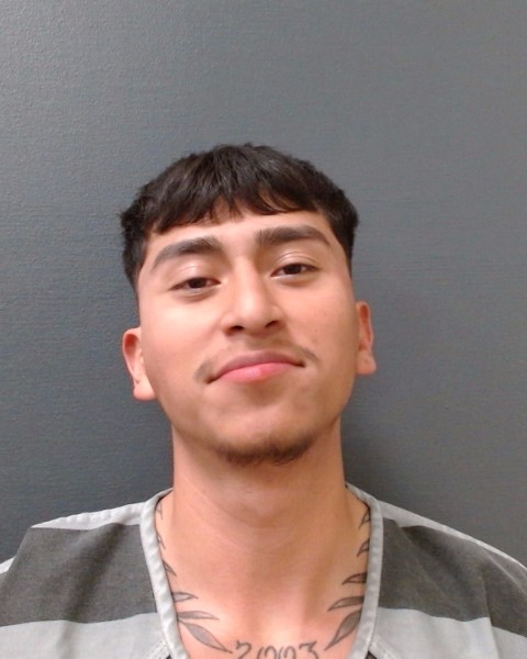 VELEZ, SERGIO ALEXIS booking photo