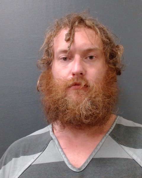 DAVIDSON, JOHN STEWART booking photo