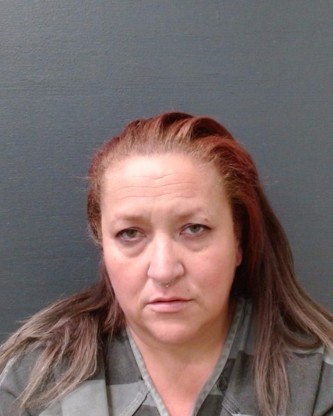 TIMMS, LYNNDA MICHELLE booking photo