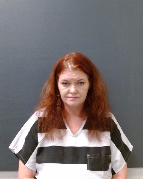 VAUGHT, BRANDY MICHELLE booking photo