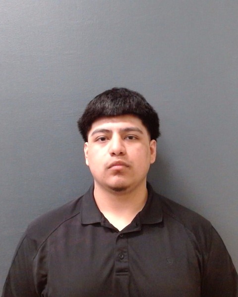 BERMEA, JOSHUA booking photo