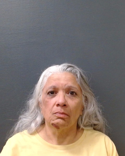 AROCHA, MONICA booking photo