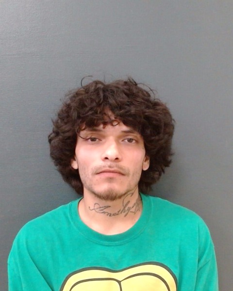 OLIVAREZ, CARLITOS, Jr. booking photo