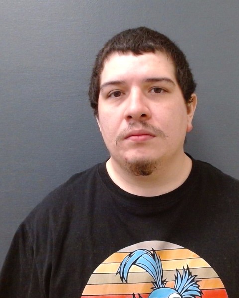 ALEMAN, JOE EDWARD booking photo