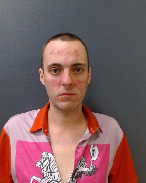 HAMILTON, SHANE ALEXANDER booking photo
