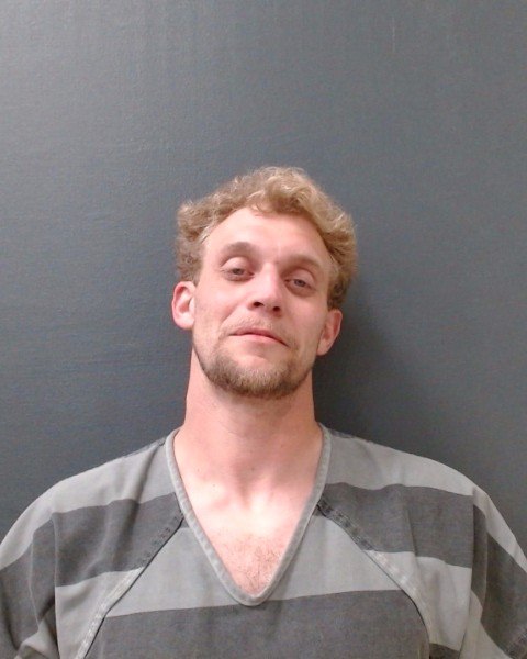 SNYDER, SIDNEY LEE booking photo