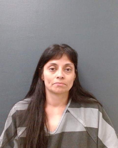 SALAZAR, MONICA MICHELLE booking photo