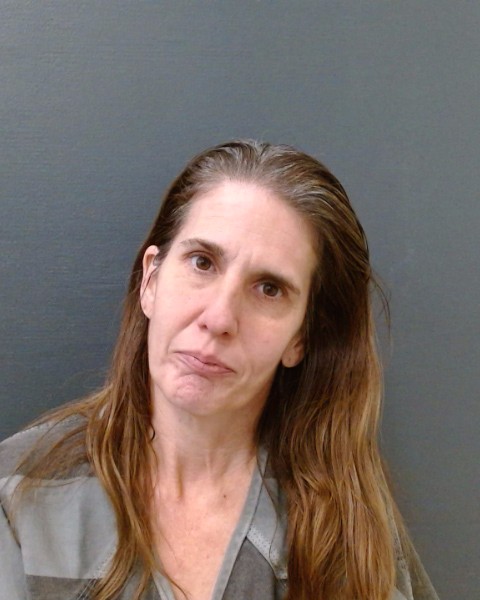 GONZALES, AIMEE MELISSA booking photo